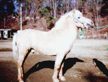H10(1998).12.23ڂ